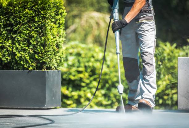 Best Solar Panel Cleaning  in Jamestown, CA